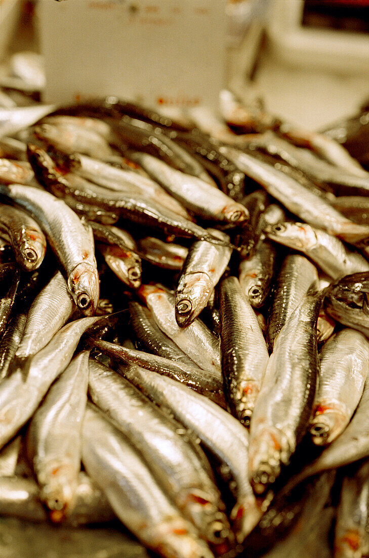 Fresh sardines on sale at the Boqueria market in Barcelona