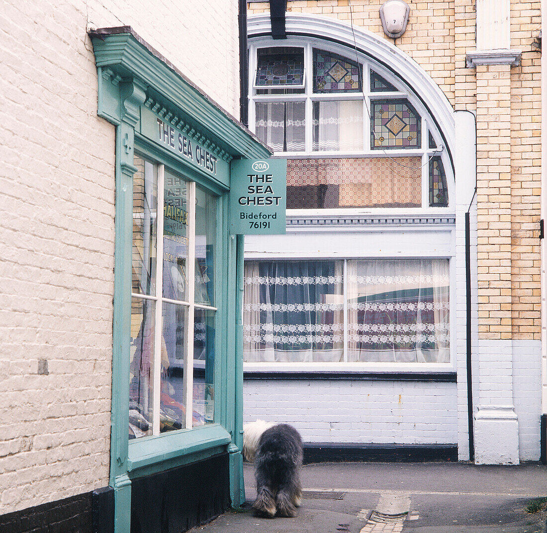 The Sea Chest shop front in Bideford with dog