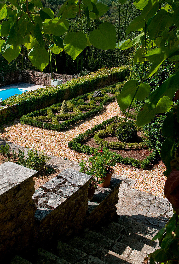 Topiary in garden