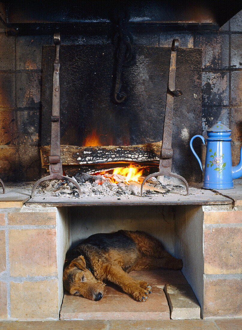 Dog sleeping in space below fireplace with lighted fire