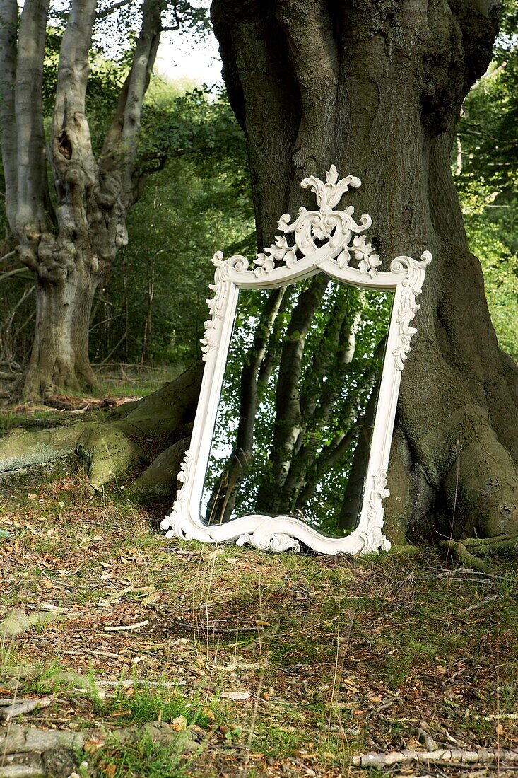 Ornate oversized mirror in woodland setting