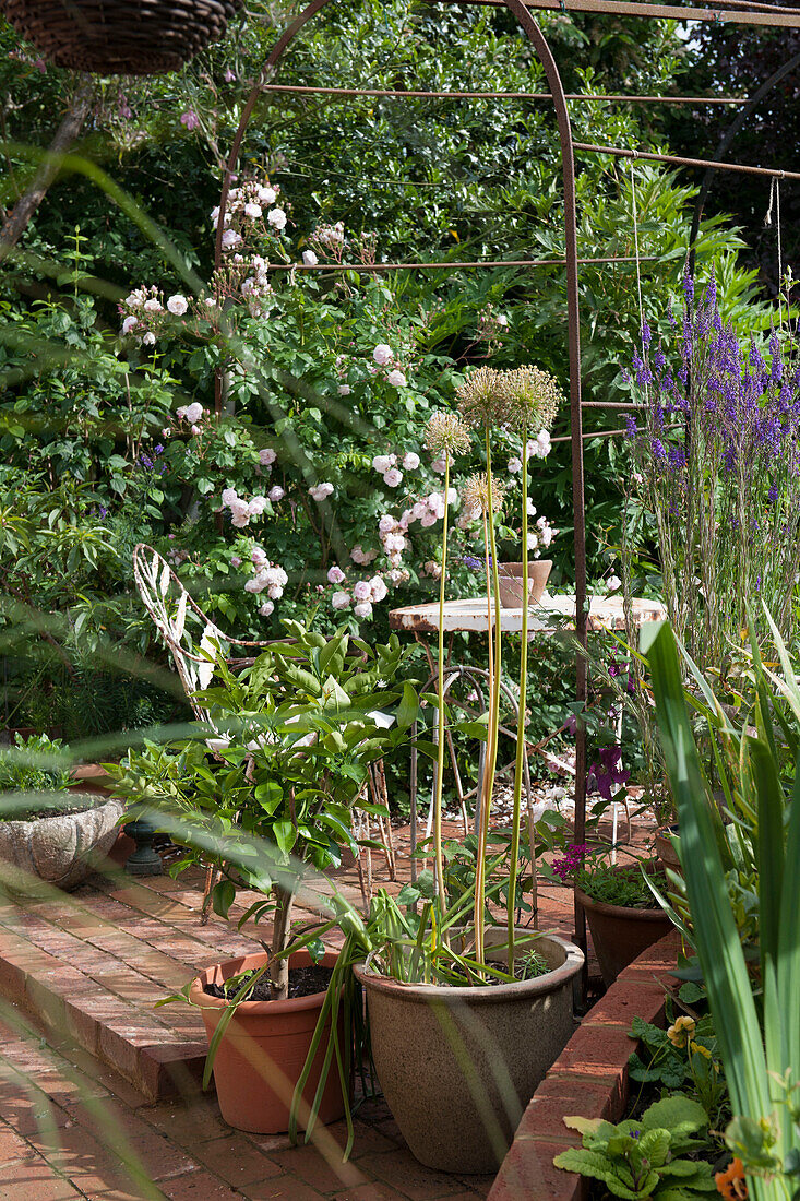 Container post and chair on brick patio in Ashford cottage garden  Kent  UK