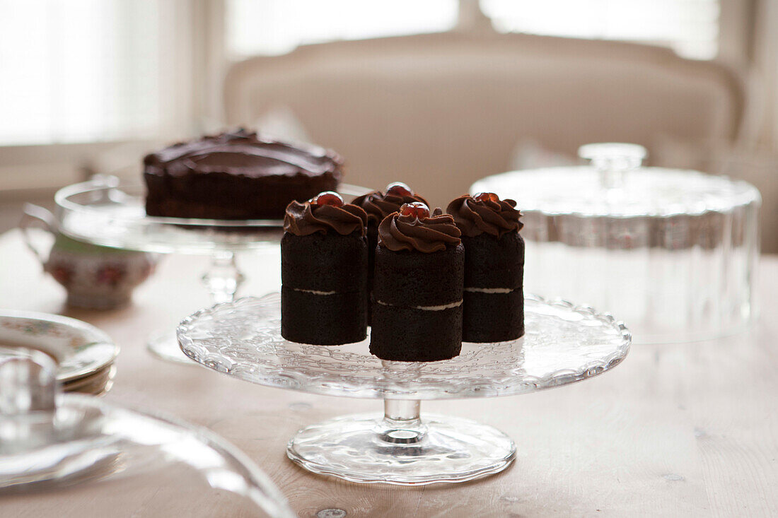 Chocolate cake on glass stand with cloche in Brighton home East Sussex England UK
