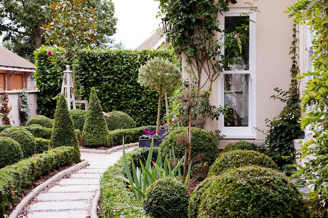 Side path with topiary in garden of Amberley home, West Sussex, England, UK