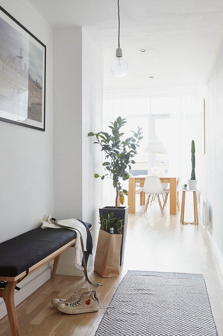 Baseball boots and bench seat in hallway of sunlit London home  UK