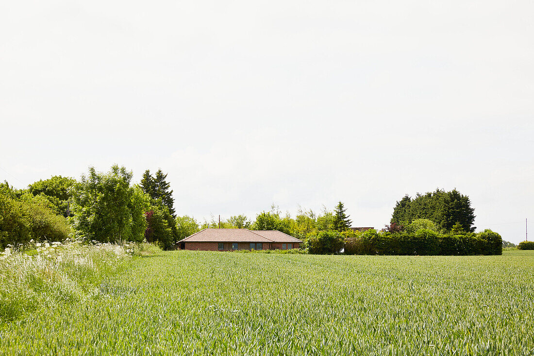 Detached home set in fields of East Riding of Yorkshire  England  UK