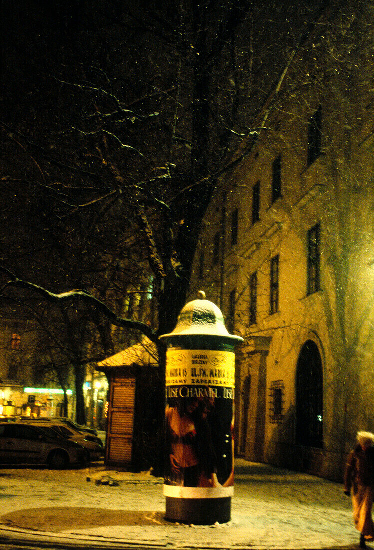 Night in snowy tree lined street 