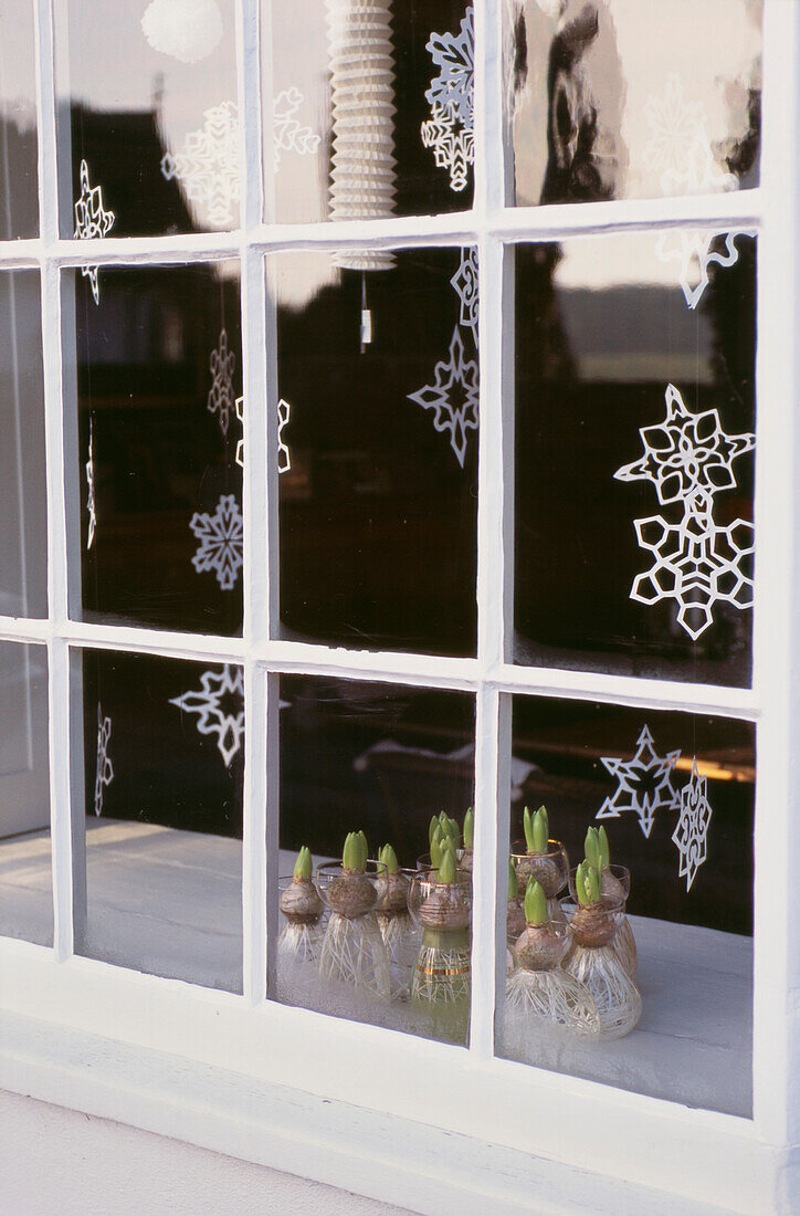 Old Post Office bay window decorated with paper snowflakes and hyacinth vases