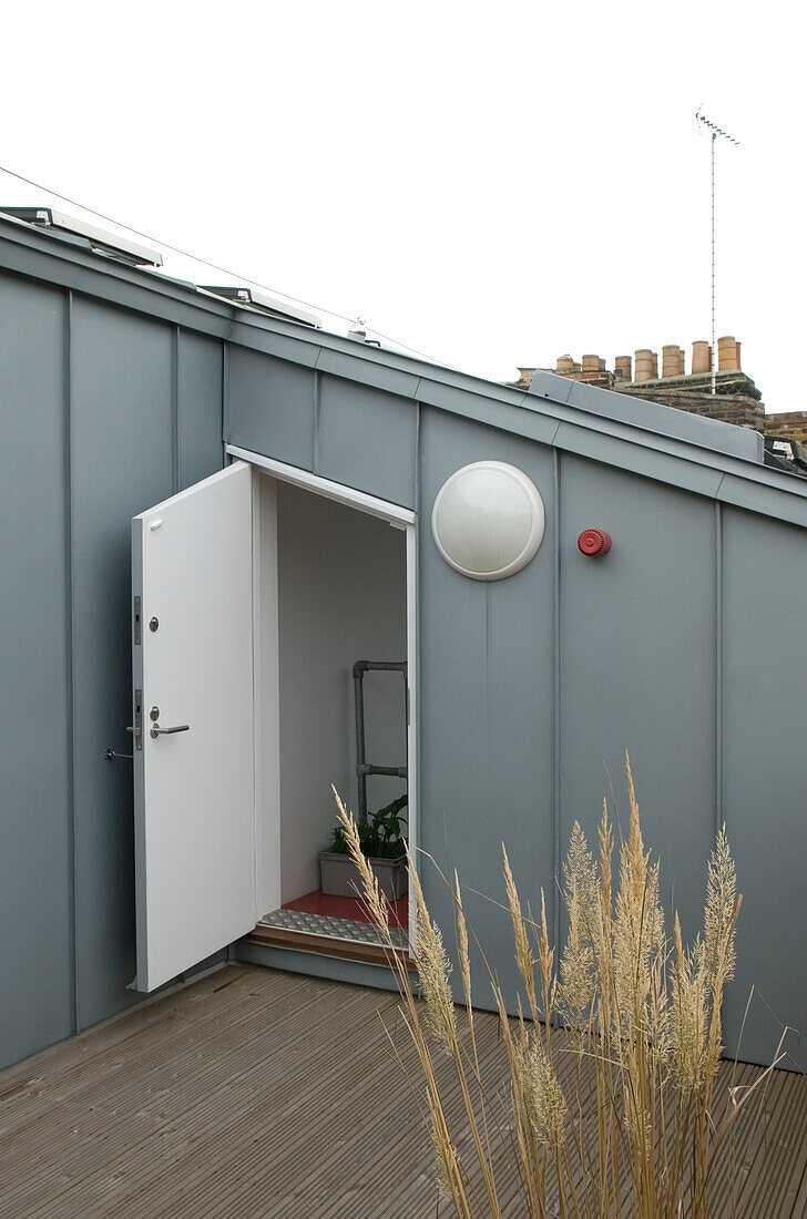 Urban roof extension with decking and pampas grass