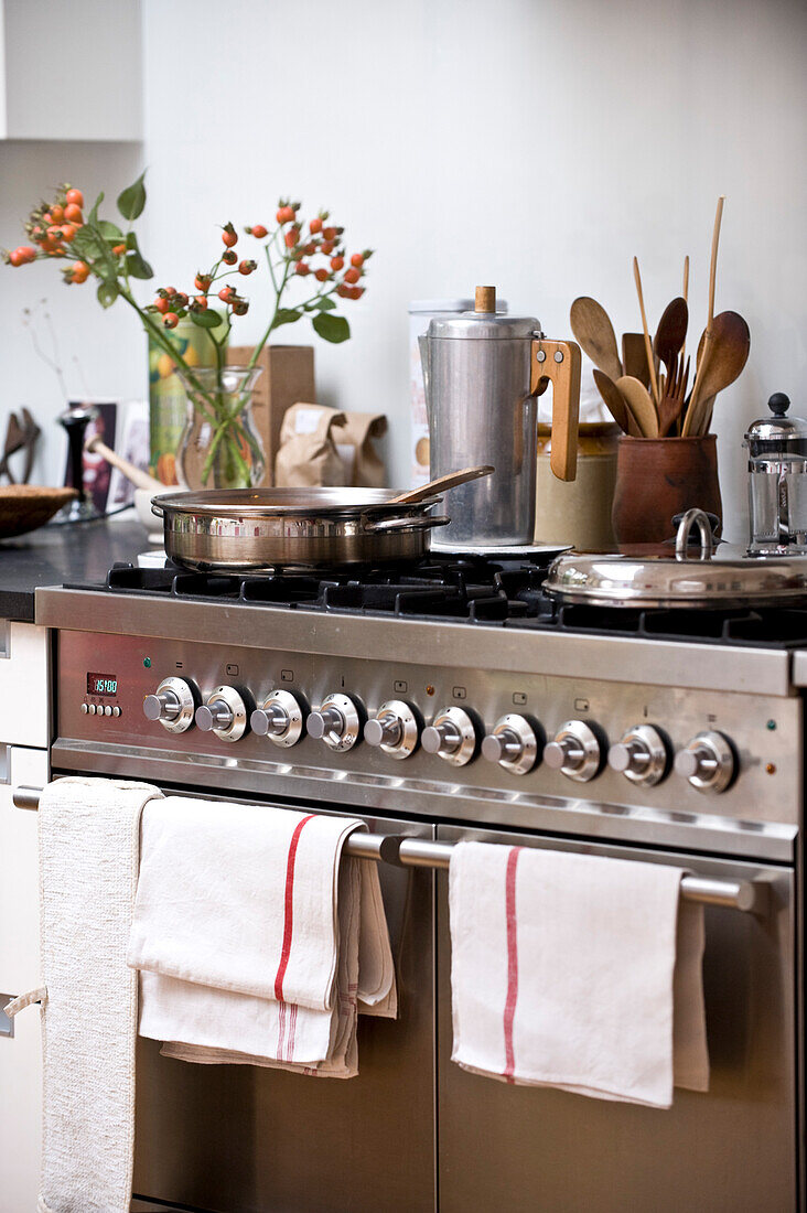 Cooking pots and kitchen utensils on a range 