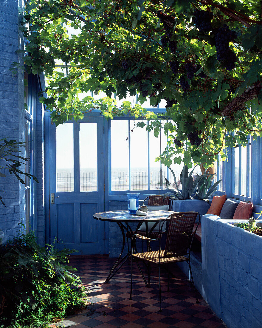 Blau gestrichener, sonnenbeschienener Wintergarten mit Weinrebe