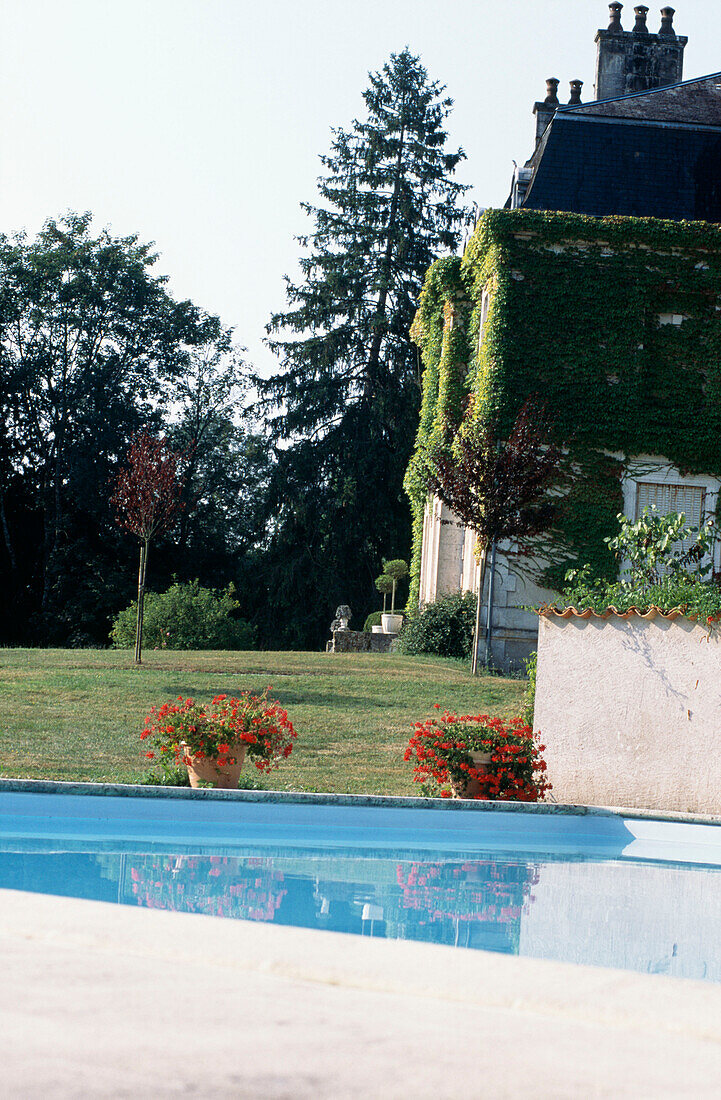 Pot plants in bloom on poolside of ivy-clad French house