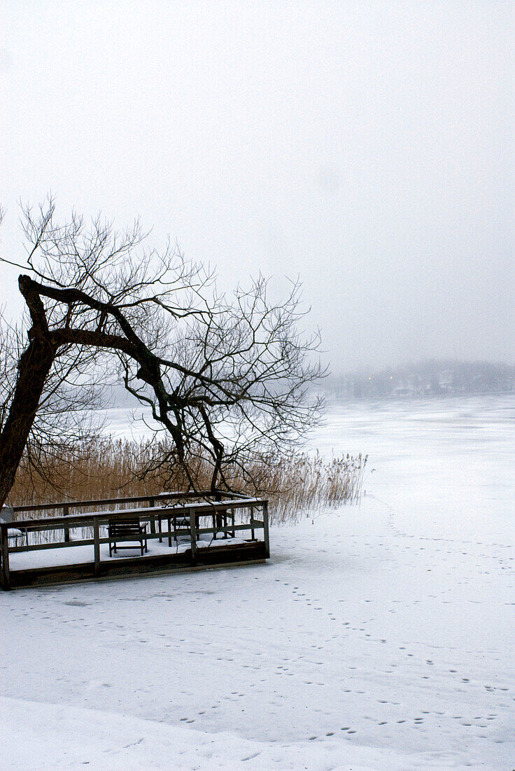 Jetty near frozen lake