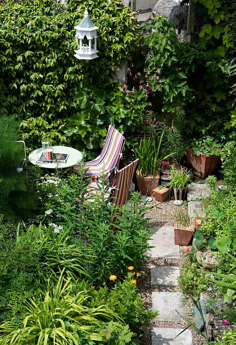 Lush foliage in garden