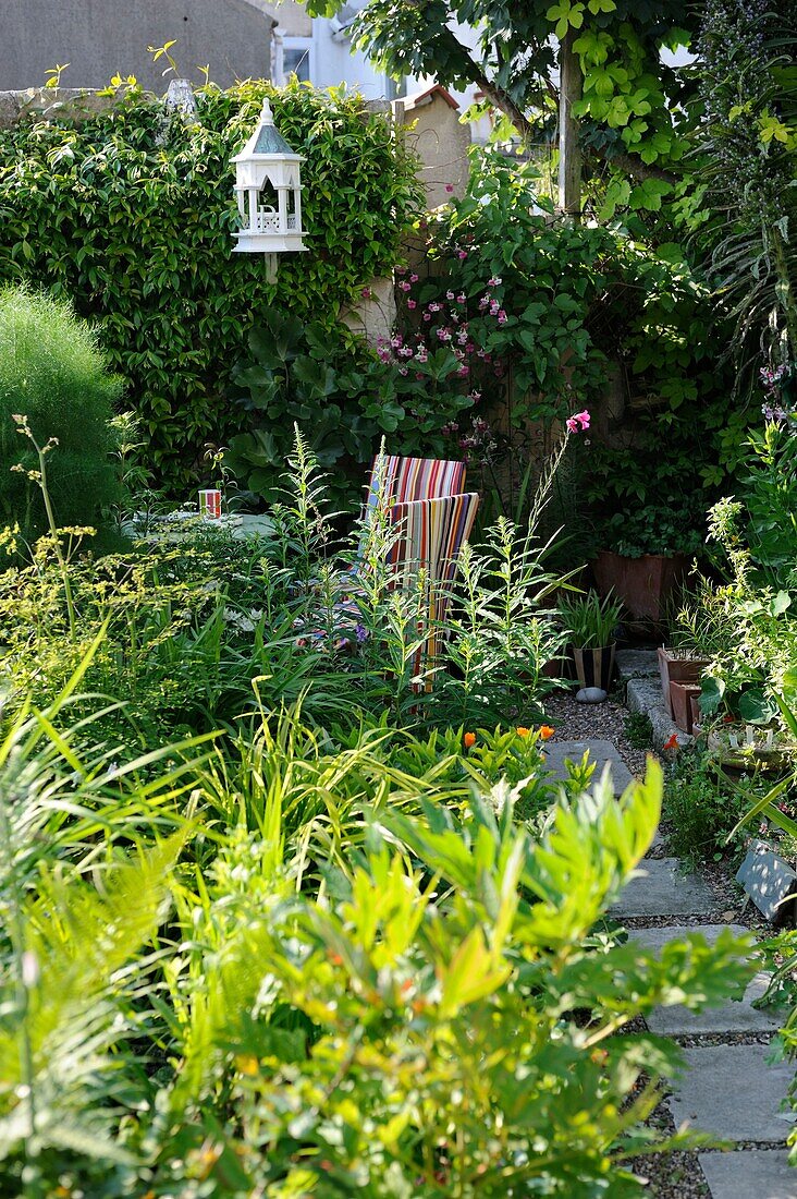 Lush foliage in garden