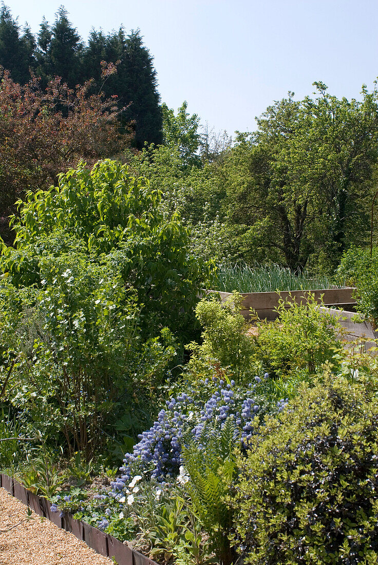 Garten mit blühenden Blumen und Fußweg aus glatten Steinen