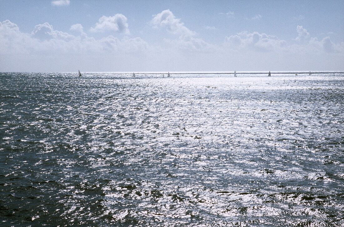 Yachts on sea