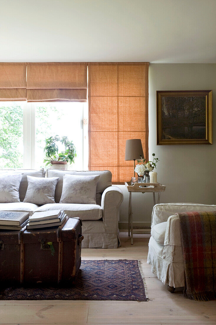 Living room with sofa and coffee table