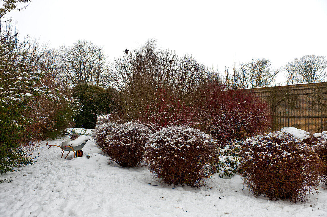 Schubkarre im ummauerten Wintergarten Odense Dänemark