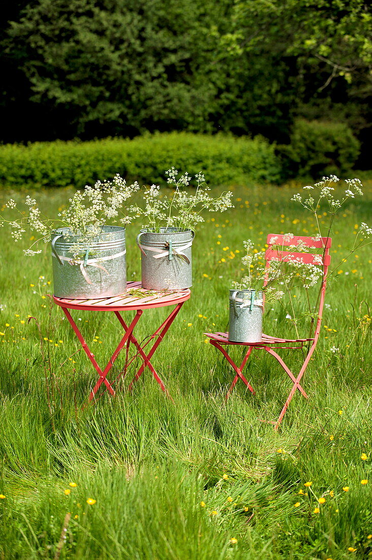 Buckets of wildflowers in Brecon field, Powys, Wales, UK