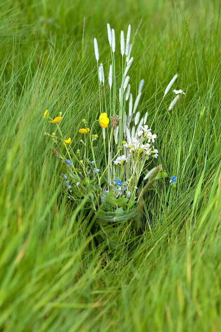 Glas mit Wildblumen im langen Gras, Brecon, Powys, Wales, UK