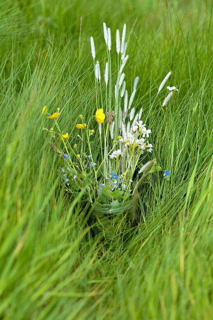 Jar of wildflowers in long grass, Brecon, Powys, Wales, UK