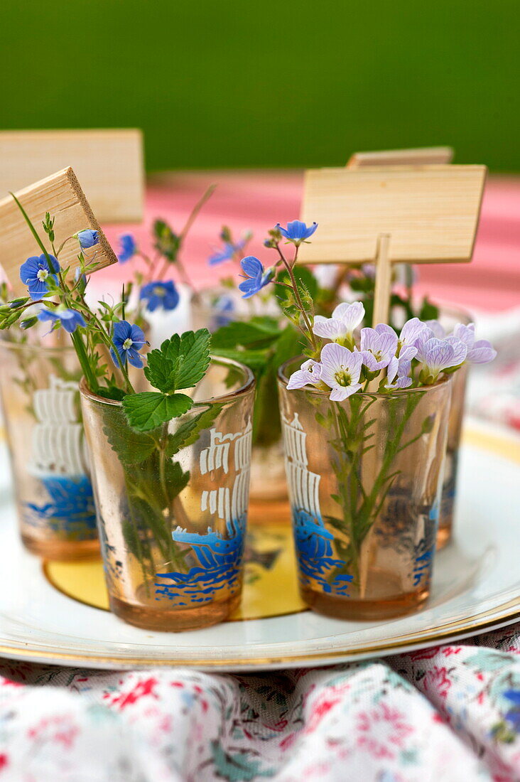 Wildblumen und Vergissmeinnicht (Myosotis) in Gläsern auf einem Teller in Brecon, Powys, Wales, Vereinigtes Königreich