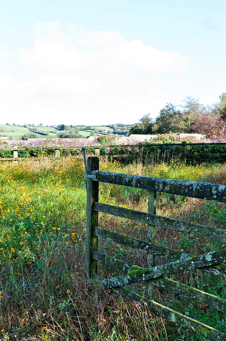 Offener Zaun in einem ländlichen Feld, Blagdon, Somerset, England, UK