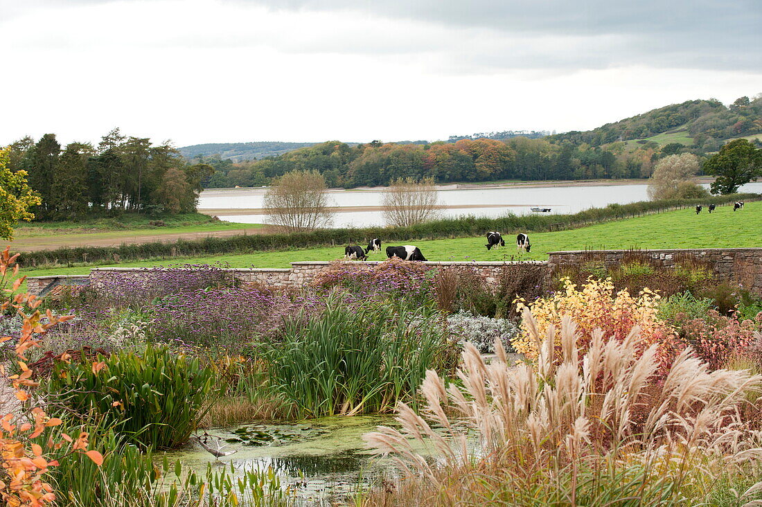 Grass and pond garden in rural Blagdon, Somerset, England, UK