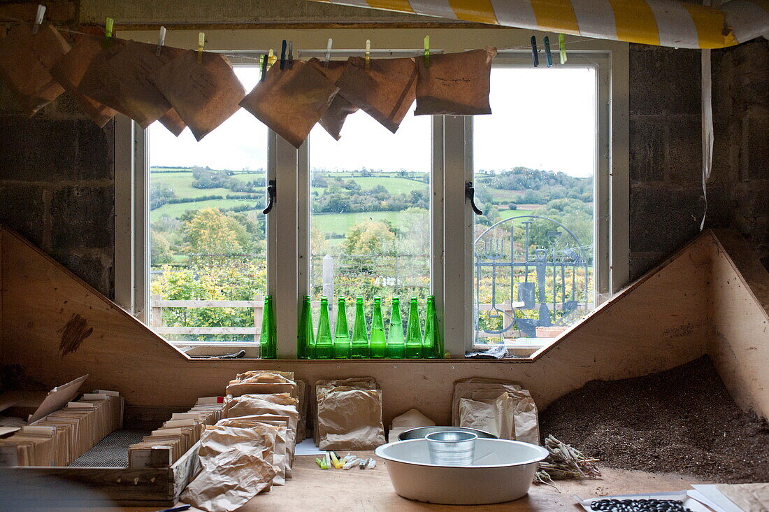 Seed packets at window in garden shed, Blagdon, Somerset, England, UK