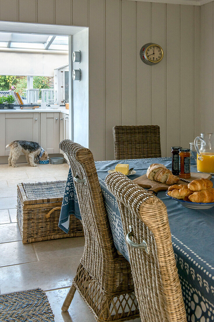 Dog eating from bowl in kitchen of Penzance farmhouse Cornwall England UK