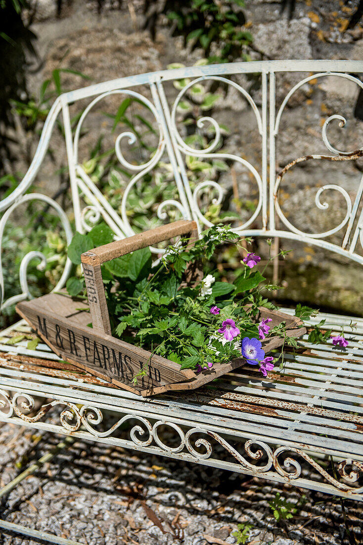 Gardening trug on metal framed bench in garden exterior of Helston home Cornwall UK