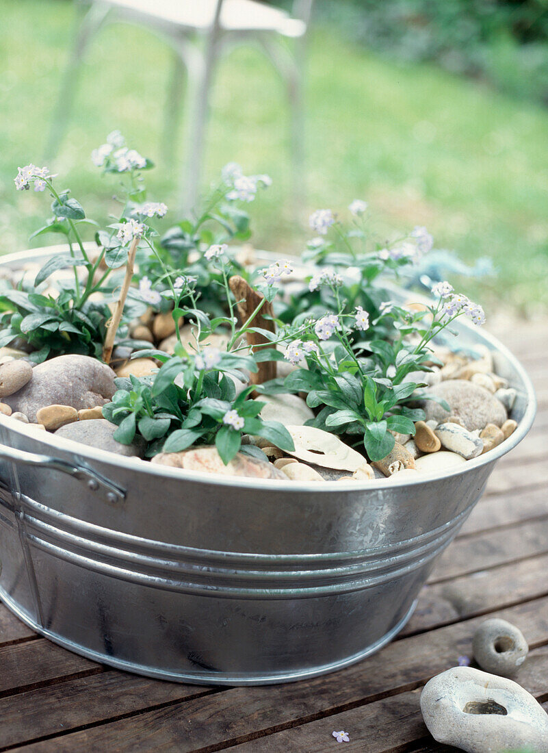 Garden planter on decking