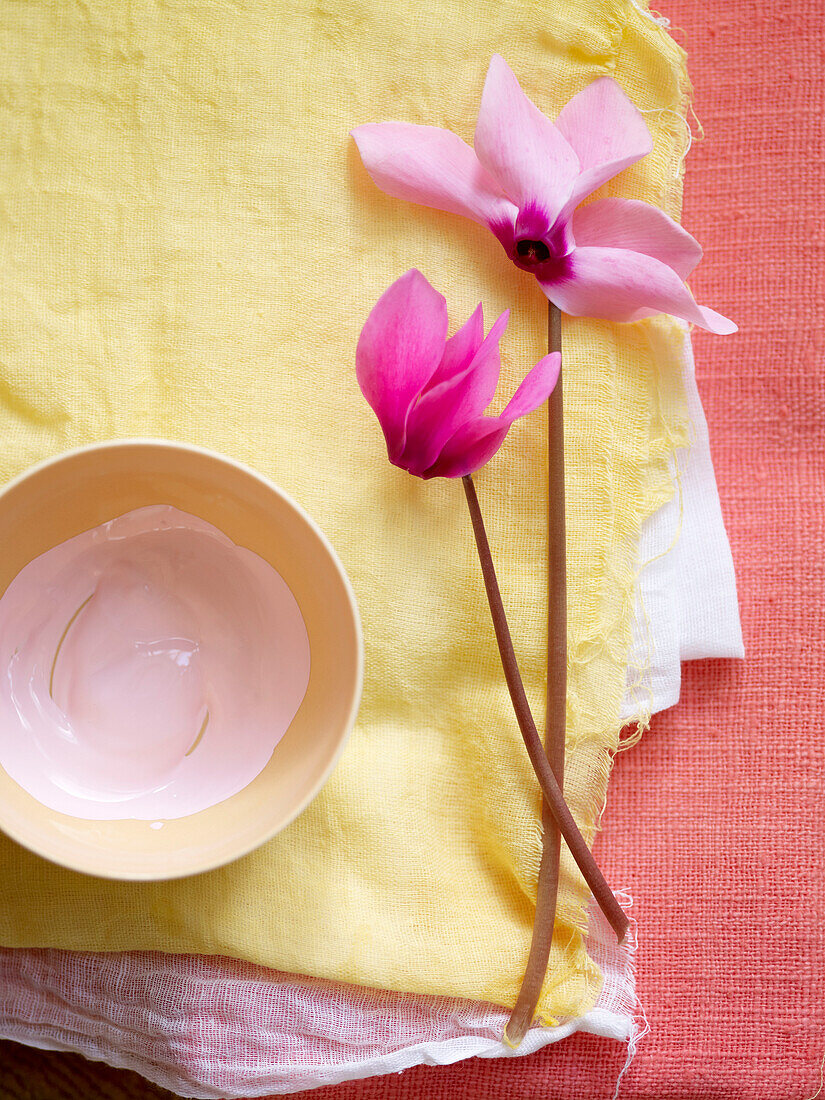 Single stem Cyclamen flowers and bowl of white paint on piece of yellow fabric