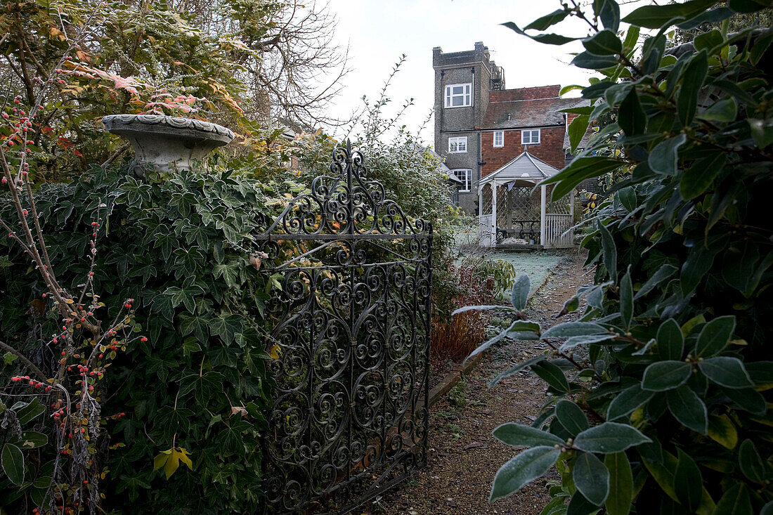 Wrought iron gate and footpath in winter garden, Tenterden, Kent, England, UK