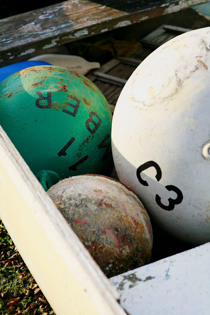 Sailing buoys in rowing boat Emsworth Hampshire England UK