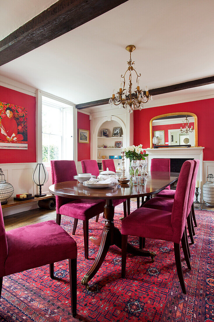 Pink velvet upholstered dining chairs in red dining room of Bishops Sutton home Alresford Hampshire England UK