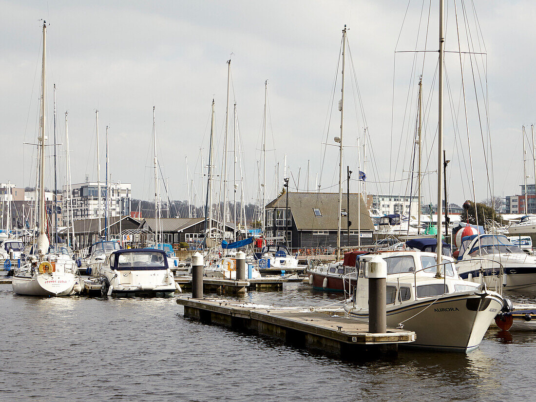 Yachten am Steg im Hafen von Ipswich, Suffolk, England, UK