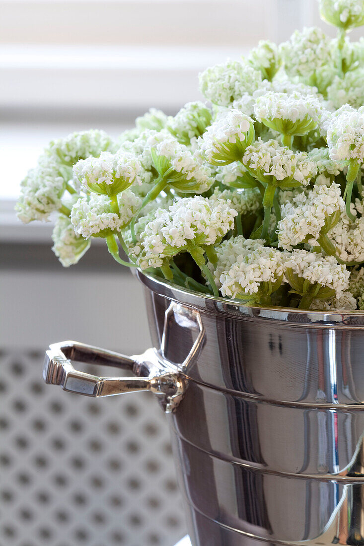 White flowers in silver ice bucket in Hendon home London UK