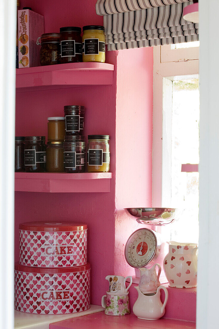 Cake tins and jars on pink shelving at window of Suffolk home UK