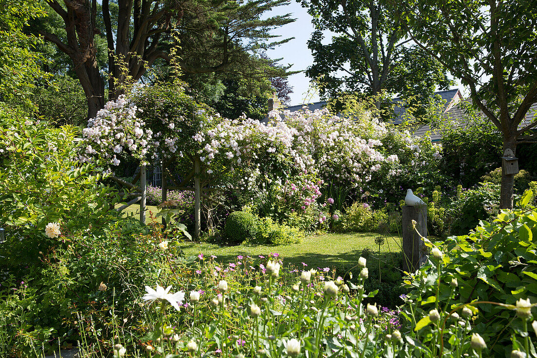 Flowering lilac in Dorset cottage garden, England, UK