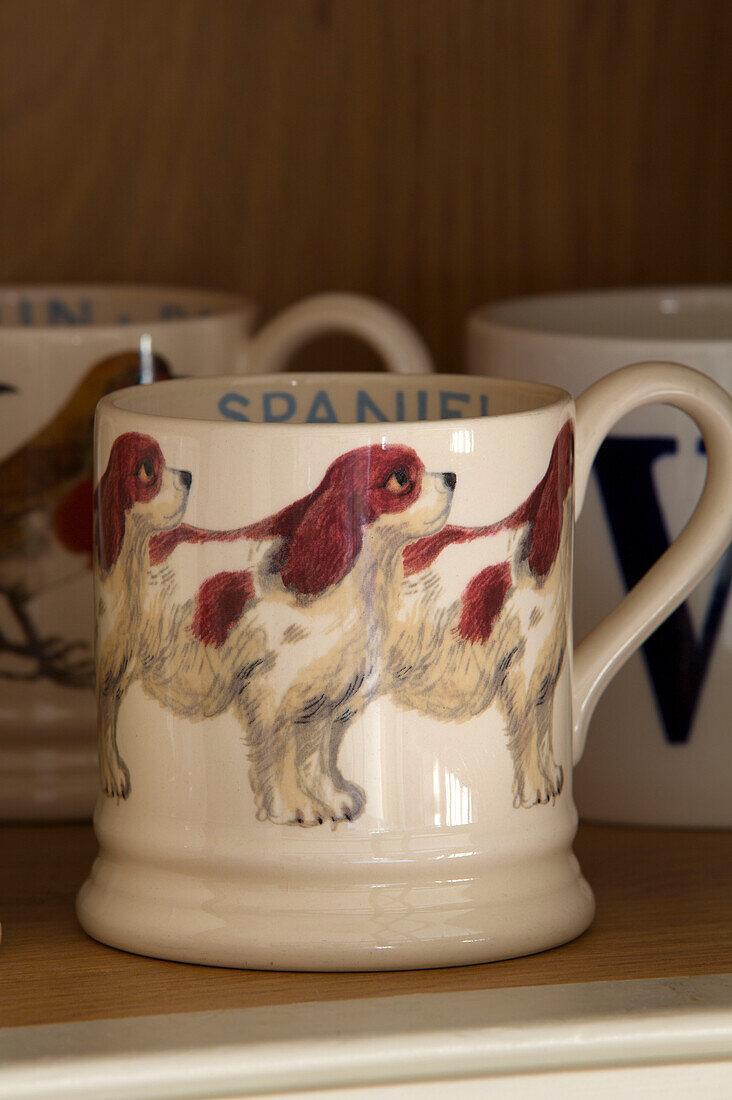 Spaniel mug on shelf in Suffolk farmhouse kitchen,  England,  UK