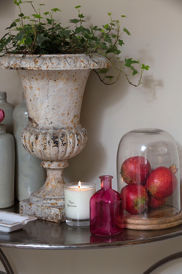 Ivy in plant pot with fruit under bell jar in Sussex home England UK