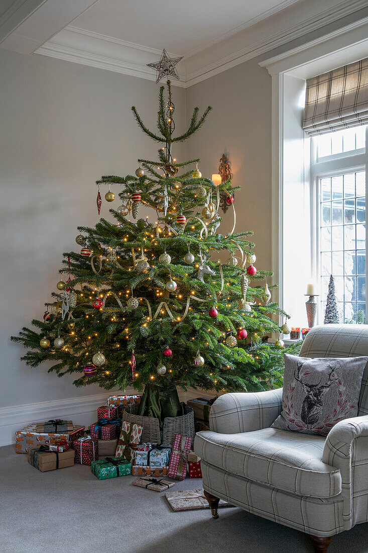 Christmas tree with gifts and armchair in window of 1890s Victorian villa Liverpool