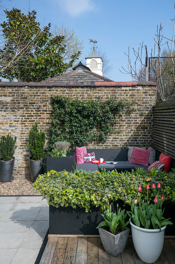 Grey seating with tulips in backyard of London home UK