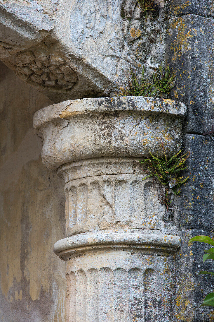 Self-seeded plants grow in 18th century columns of French chateau Lot et Garonne