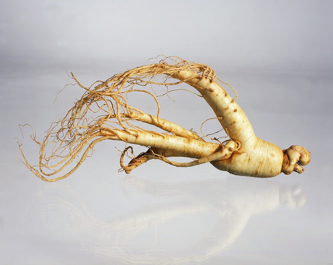 A ginseng root