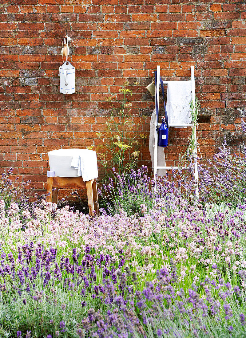 Washbasin and ladder in walled lavender garden Isle of Wight, UK