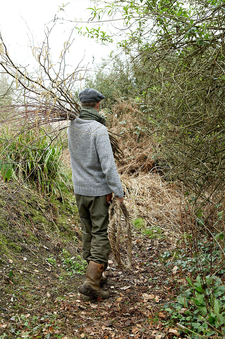 Man carrying branches over shoulder in Isle of Wight woodland UK