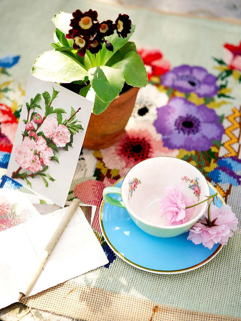 China teacup and primrose with greetings card on needlepoint placemat Isle of Wight, UK